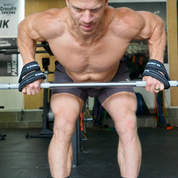 Padded Figure 8 Weightlifting Straps